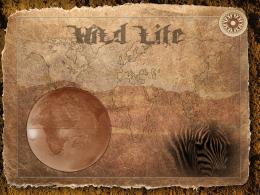 wild Life